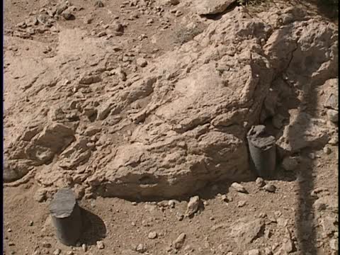 thumbnail of ¡Colores!; 610; Trinity: Getting the Job Done; Trinity Cover End