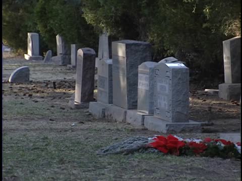 thumbnail of ¡Colores!; 606; Clyde & Carrie Tingley of New Mexico; Fairview Cem. End of Day/Next Morning