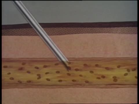 thumbnail of Vegetable Soup; 39; Season 2