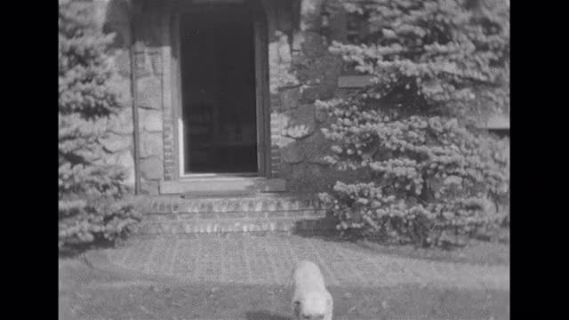 thumbnail of Staghunt + boys Porlock Bremen