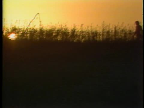 thumbnail of Daddy Can't Reaad