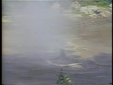 thumbnail of The MacNeil/Lehrer NewsHour