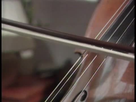 thumbnail of The MacNeil/Lehrer NewsHour