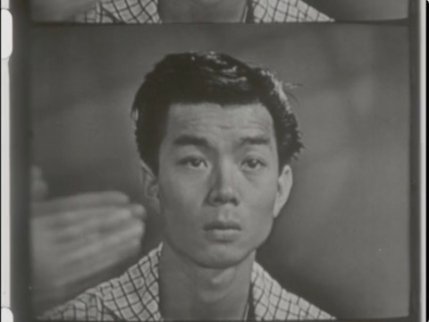 thumbnail of The Criminal Man; 4; The Ethnological Criminal