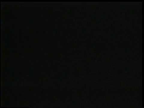 thumbnail of The MacNeil-Lehrer NewsHour