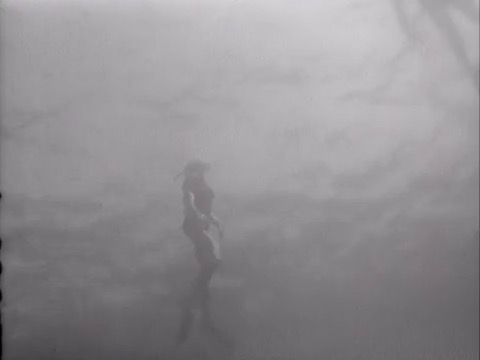 thumbnail of Spectrum; 23; Myths and Man-Eaters