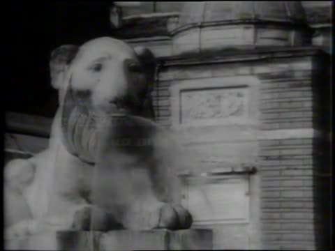 thumbnail of L'ajo nell'imbarazzo