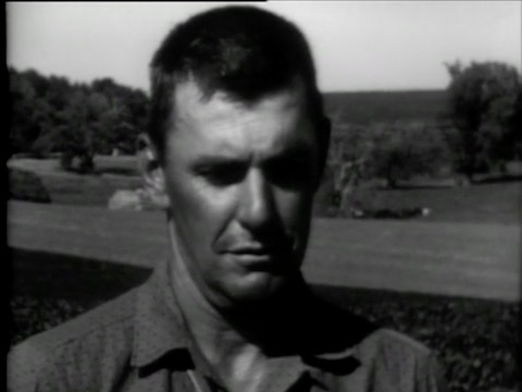 thumbnail of Local Issue; 5; The Cattle Crisis