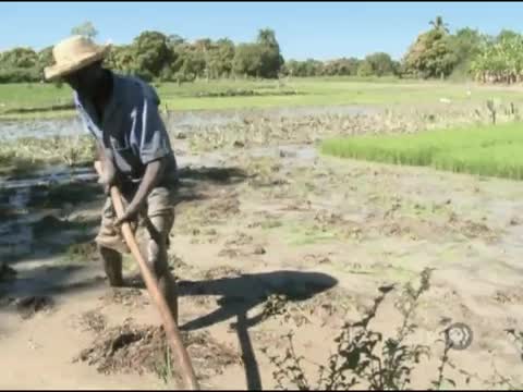thumbnail of PBS NewsHour; January 14, 2011 6:00pm-7:00pm PST
