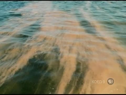 thumbnail of PBS NewsHour; July 22, 2010 3:00pm-4:00pm PDT