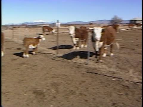 On Assignment; On Assignment; Library Footage - Harvey Ranch in ...