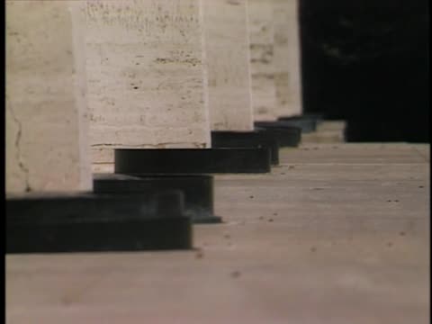 thumbnail of A Passion for Birds