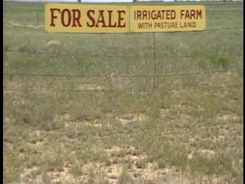 thumbnail of Illustrated Daily; Library Footage - Vaughn and Roswell