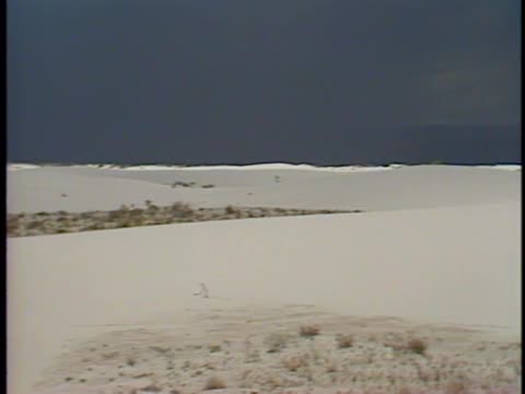 thumbnail of Illustrated Daily; Library Footage - White Sands National Monument