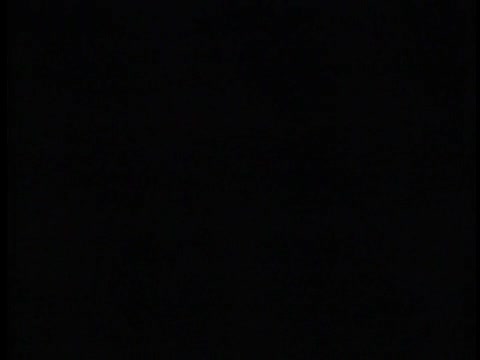 thumbnail of [UAF 75th anniversary promos]