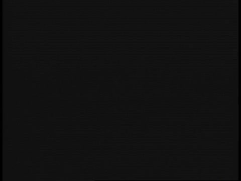 thumbnail of Black Horizons; 2142