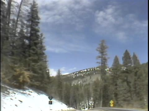 thumbnail of Illustrated Daily; Should the Ass Range At Will