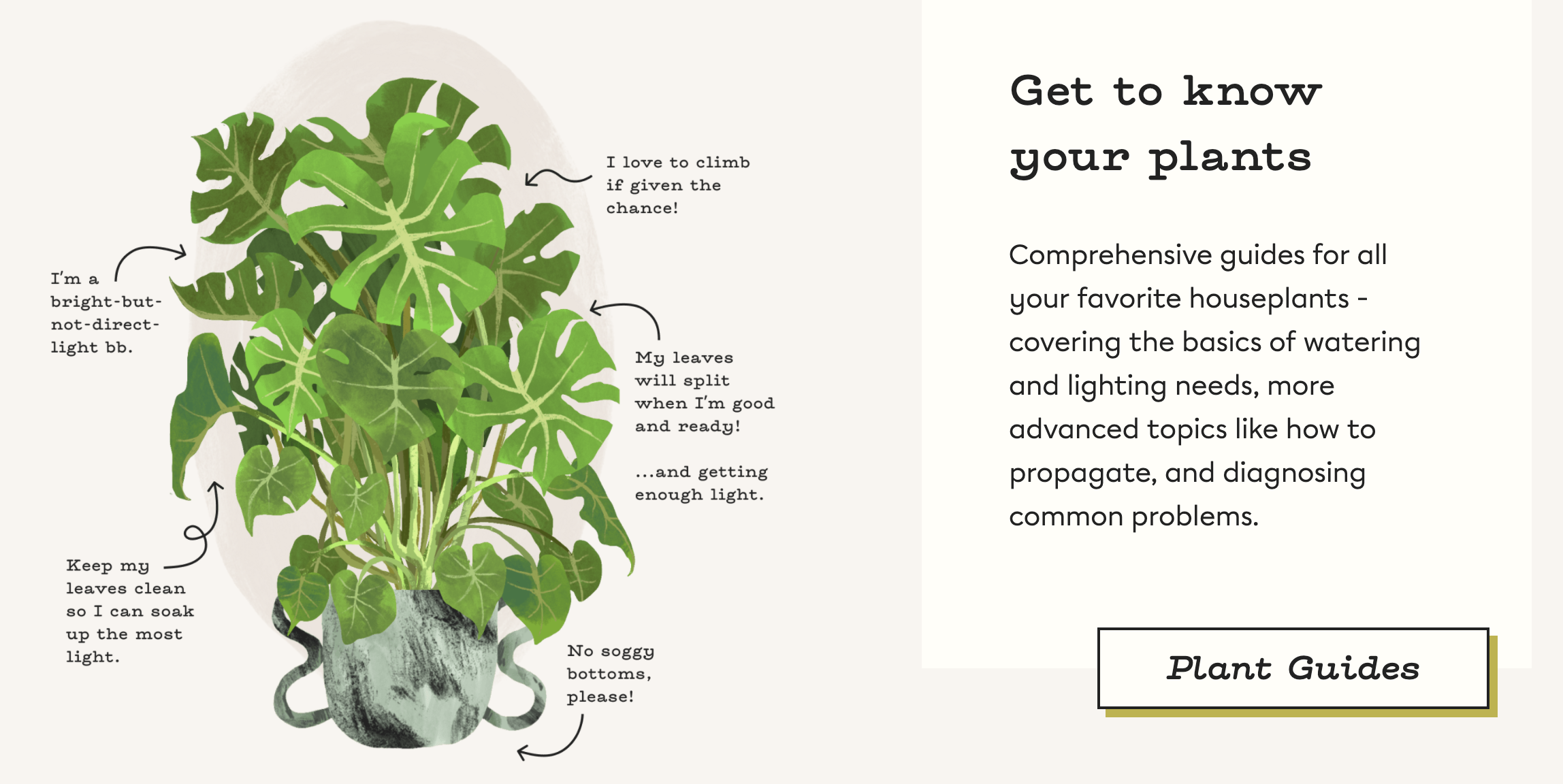 Best sites & Apps of 2021