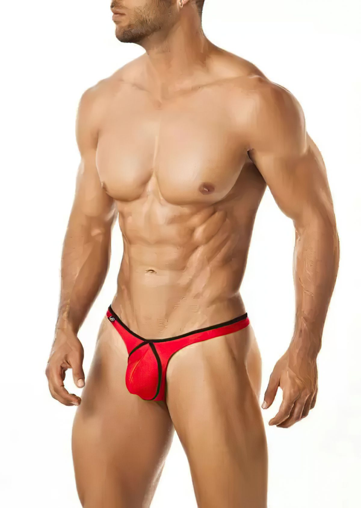 Joe Snyder Thong Pride Frame