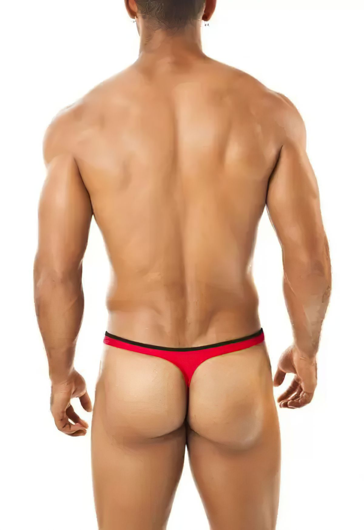 Joe Snyder Thong Pride Frame - Image 2