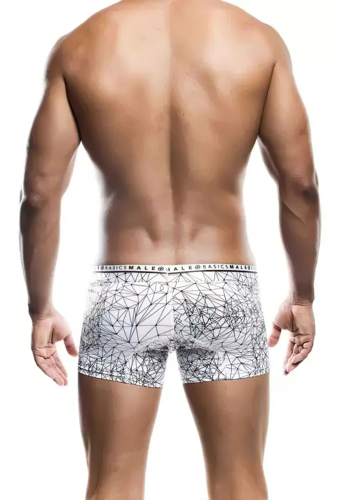 Malebasics New Hipster Trunk Spider - Image 3