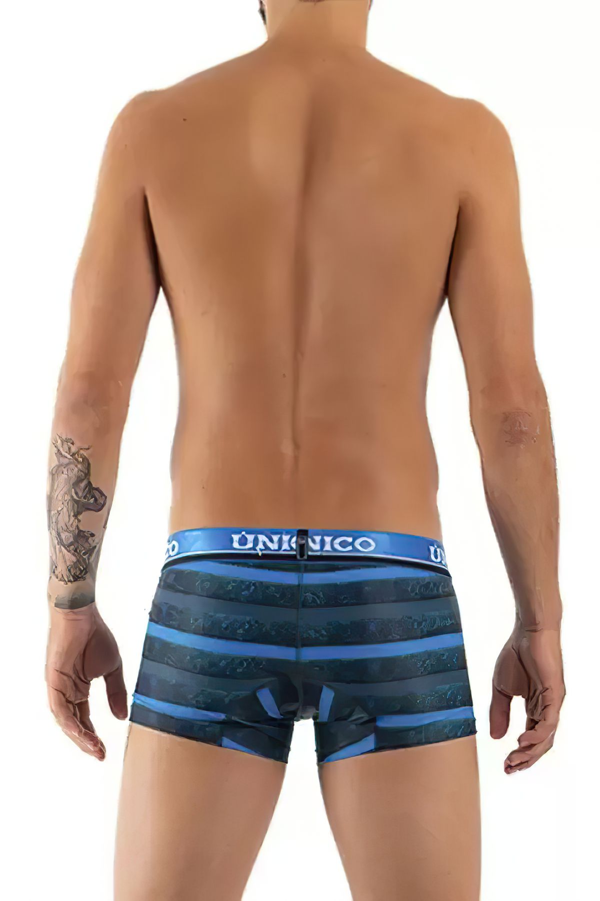 Unico Hard tinted Trunks - Image 2
