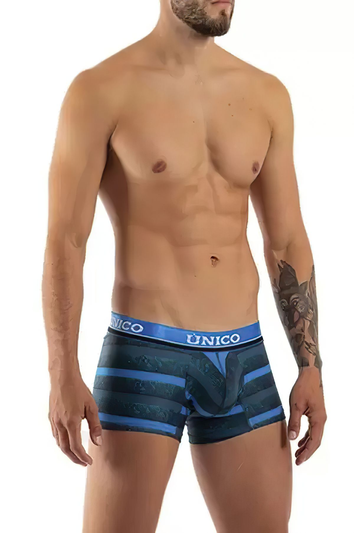 Unico Hard tinted Trunks - Image 3