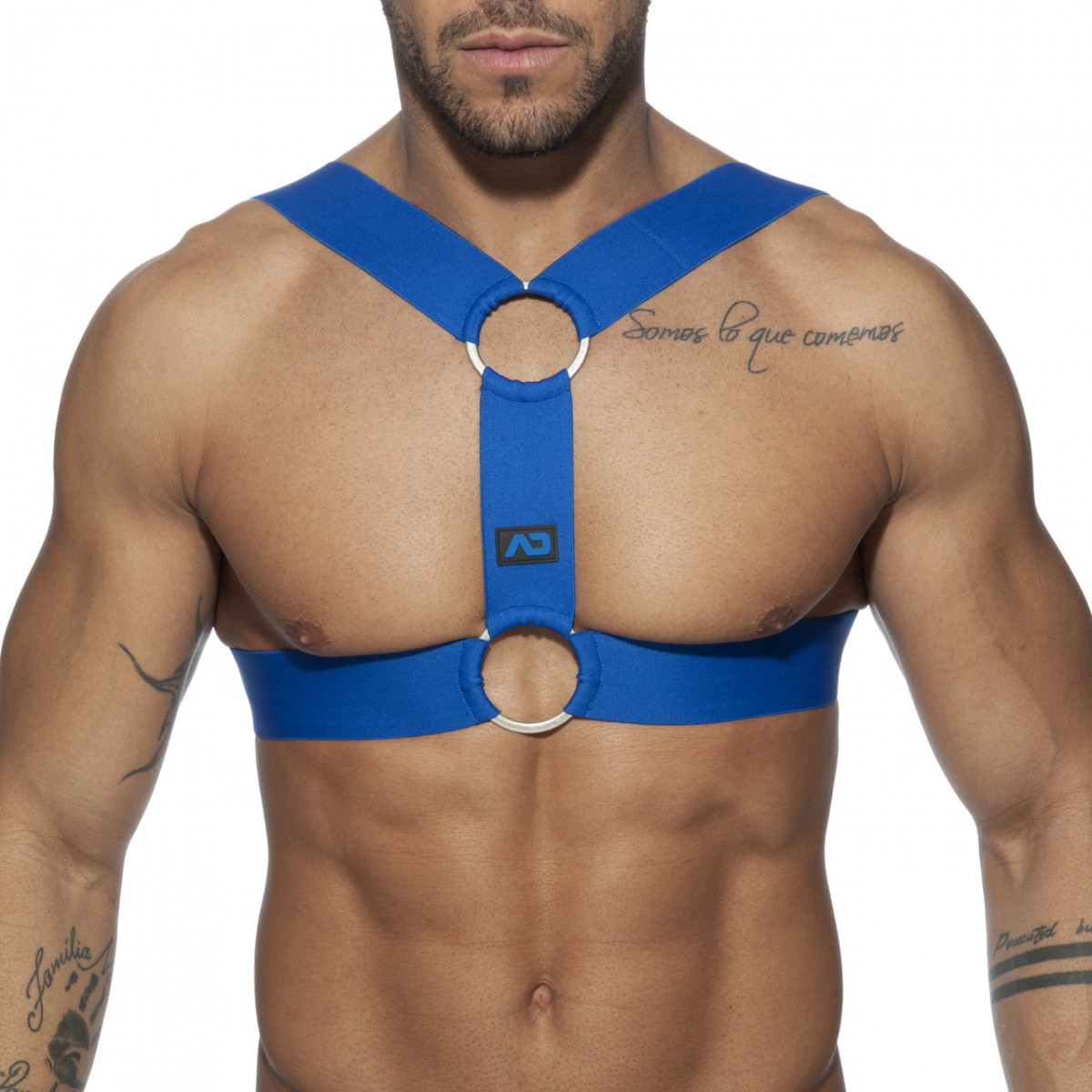 DOUBLE RING HARNESS
