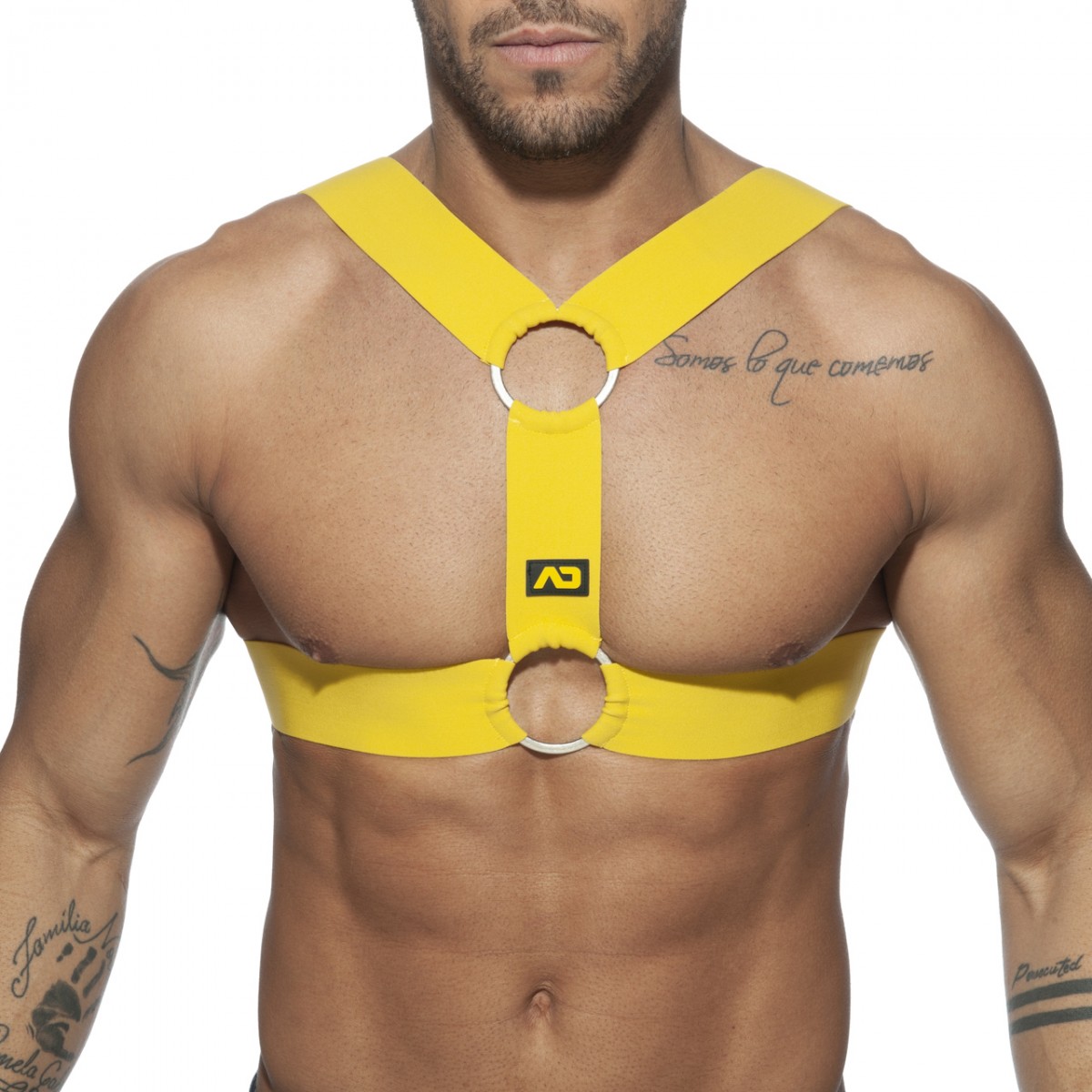 DOUBLE RING HARNESS