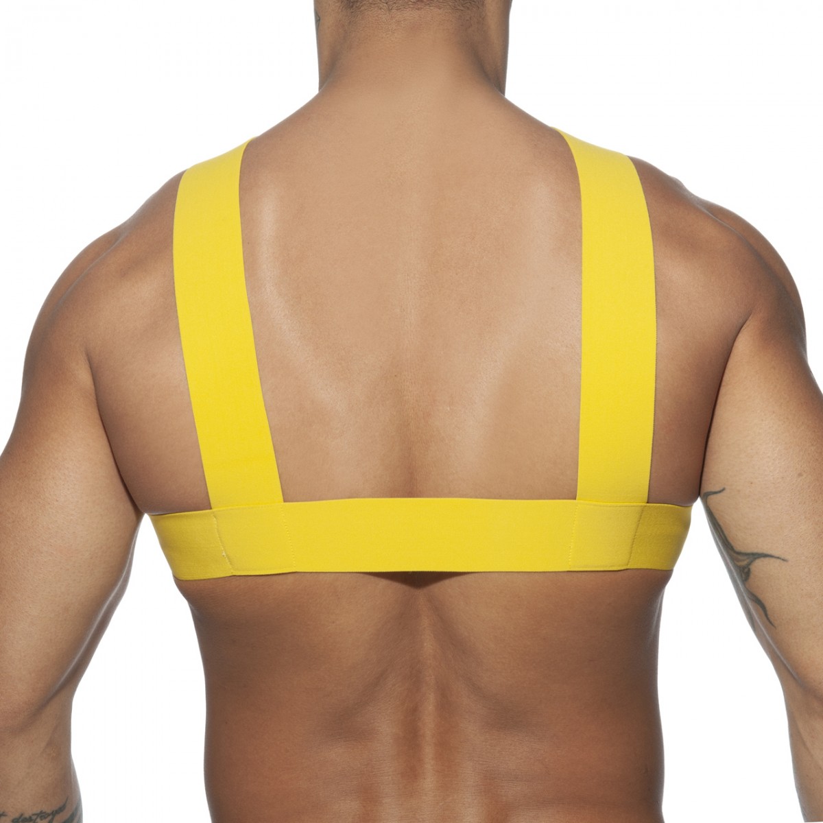 DOUBLE RING HARNESS