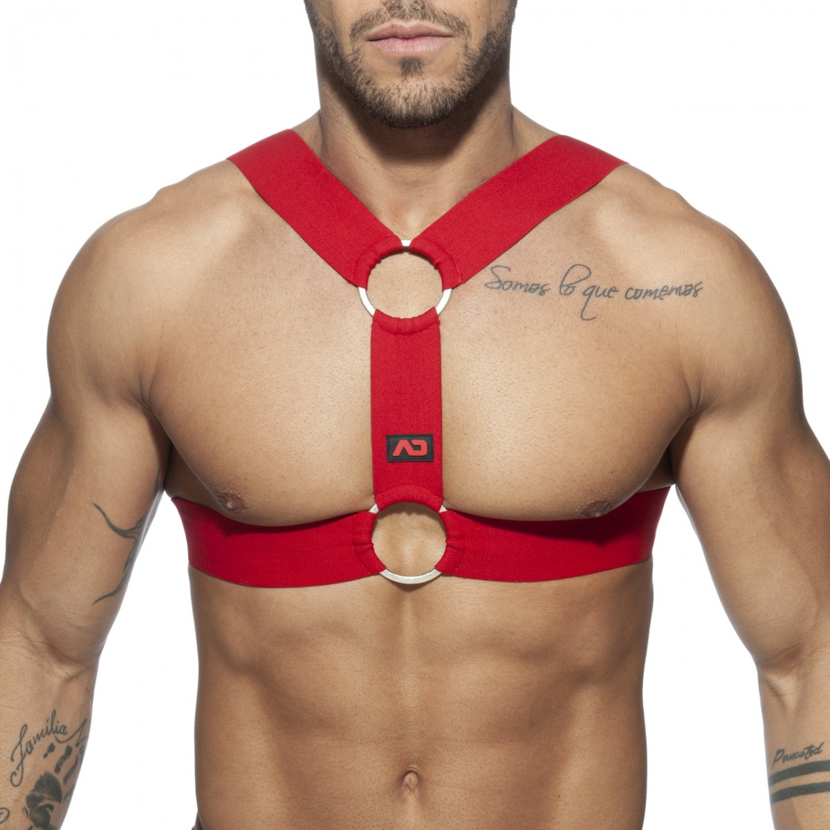 DOUBLE RING HARNESS