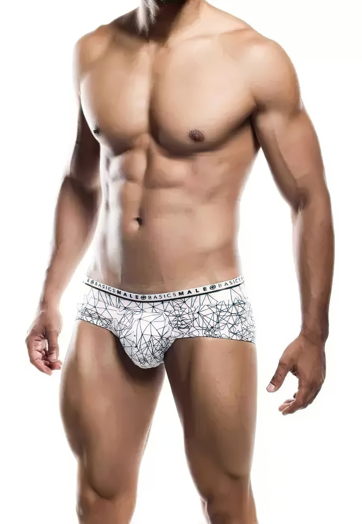 Malebasics New Hipster Brief Spider