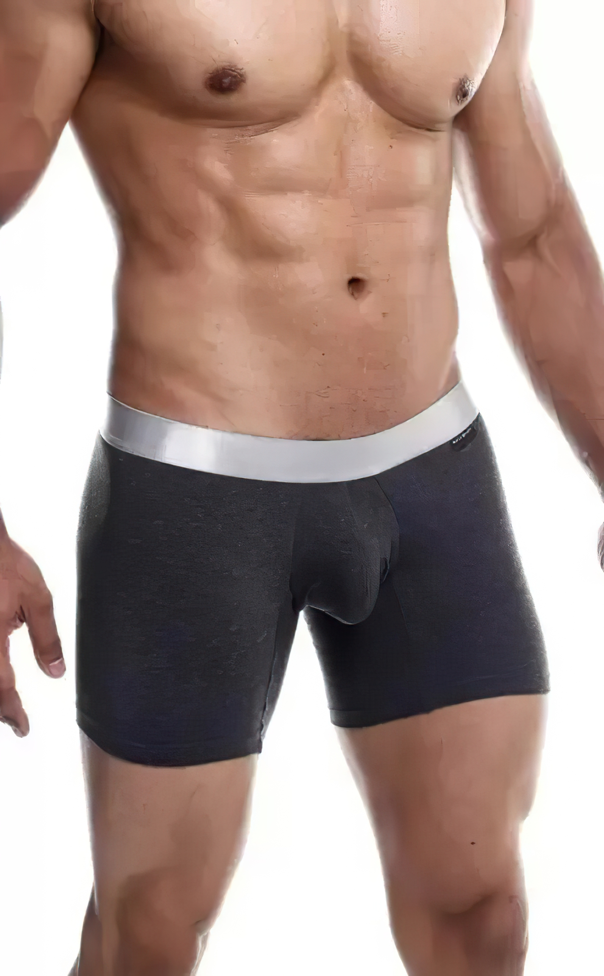 MaleBasics Pima Boxer Brief New