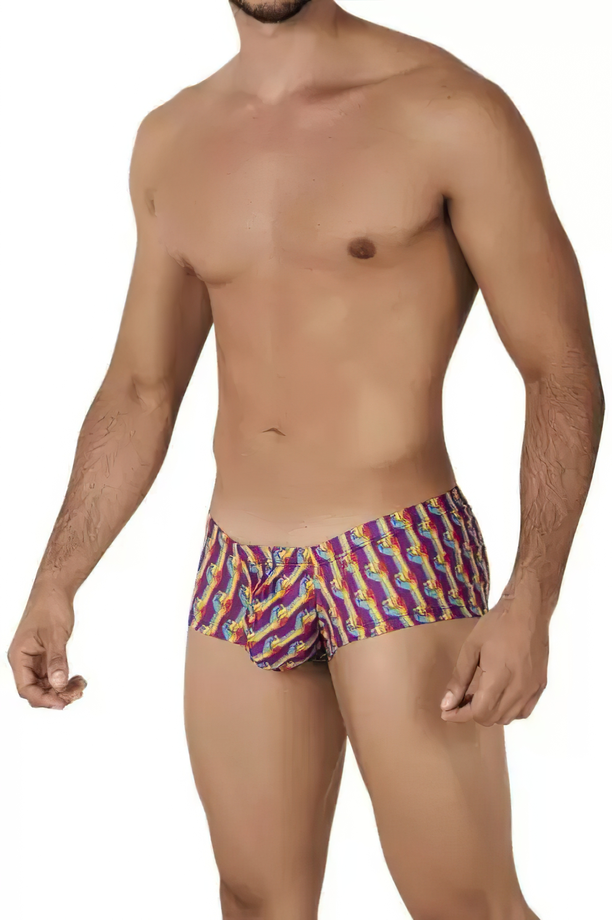 Clever Pride Trunks