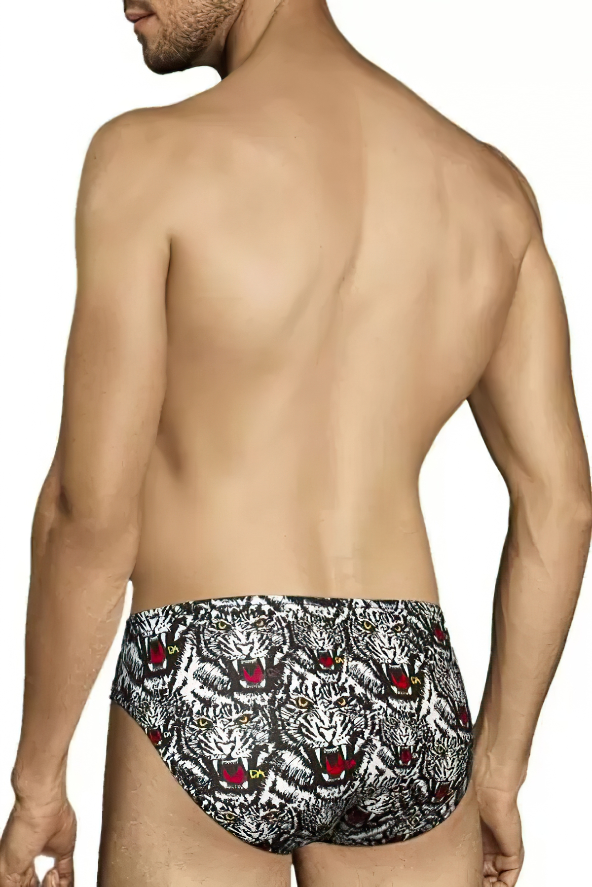 Doreanse -PRN Bengal Brief