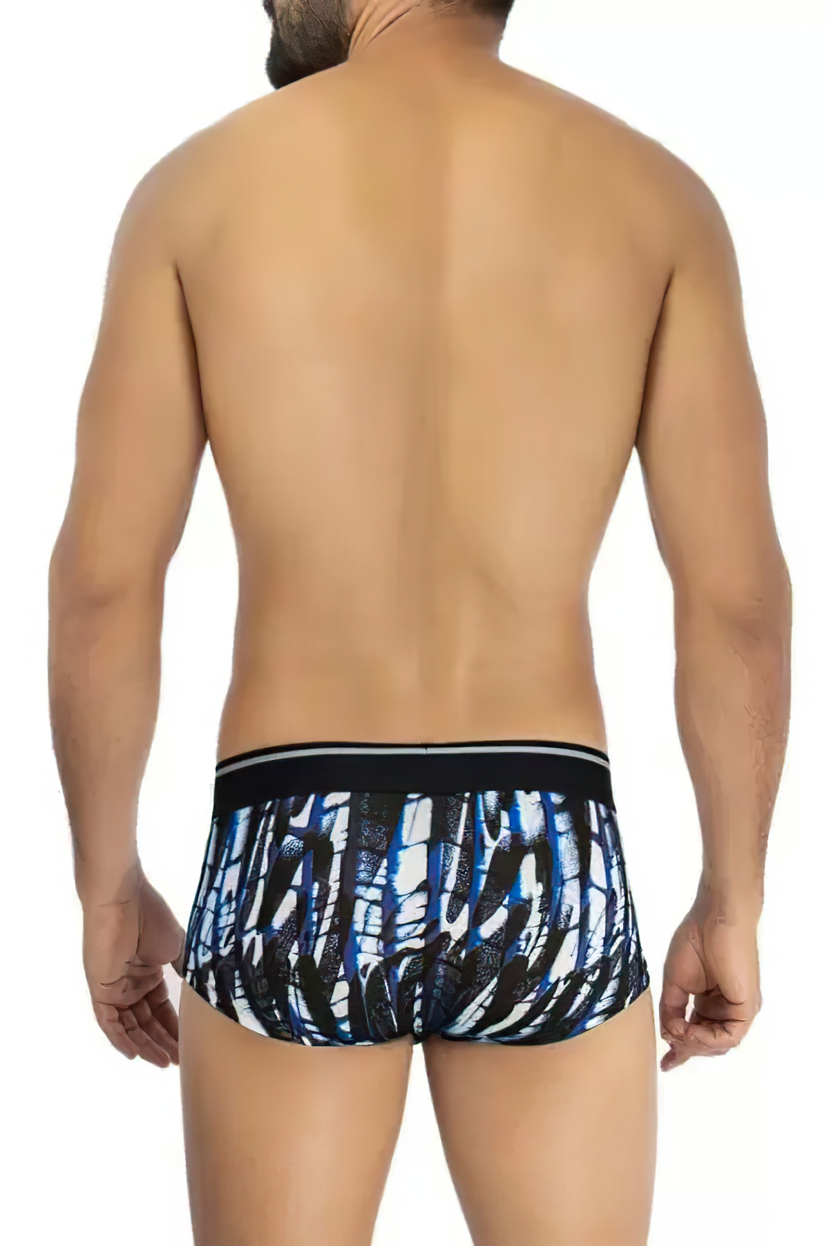 HAWAI Printed Microfiber Briefs