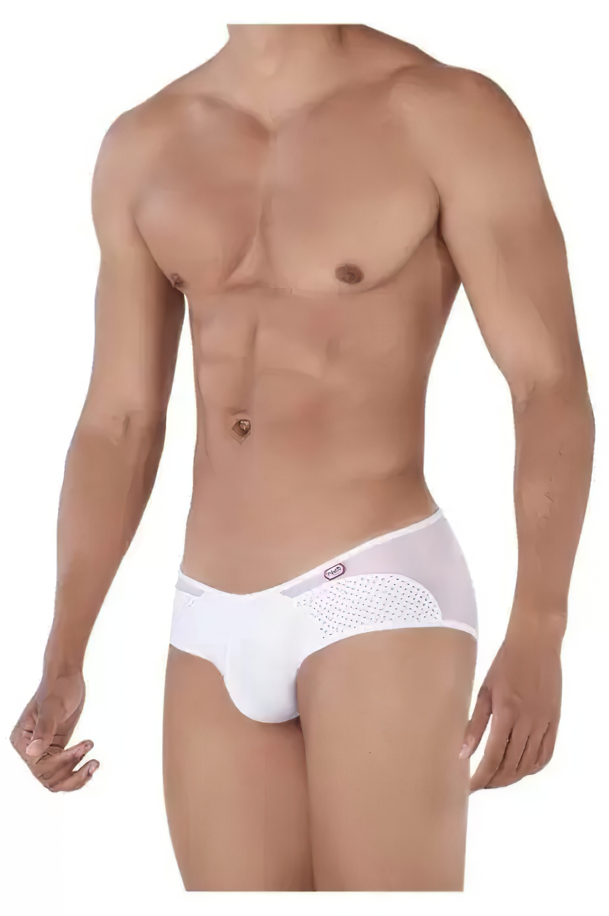 Pikante Leonidas Mesh Briefs