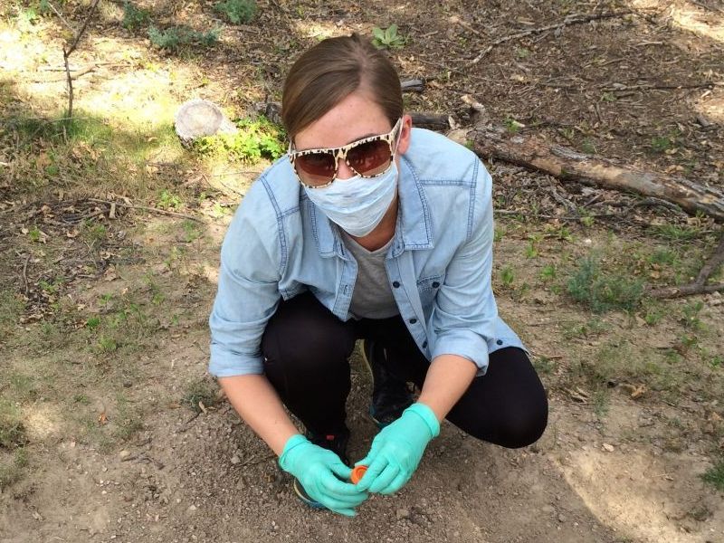 SPHV squatting on the ground near an animal burrow