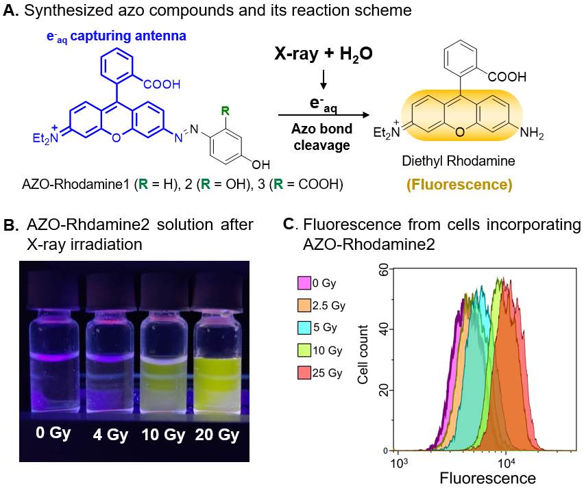 Click to view full size