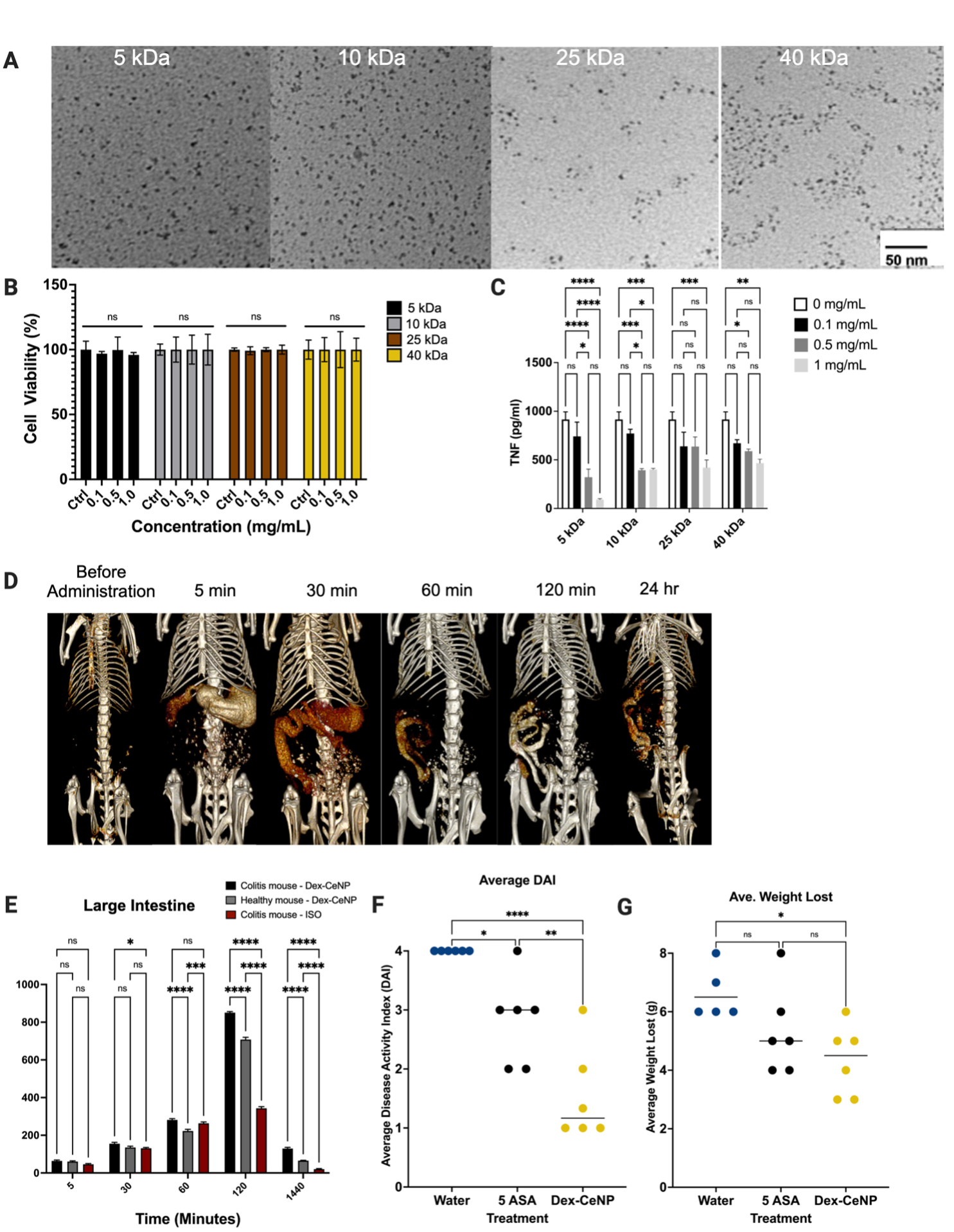 Click to view full size