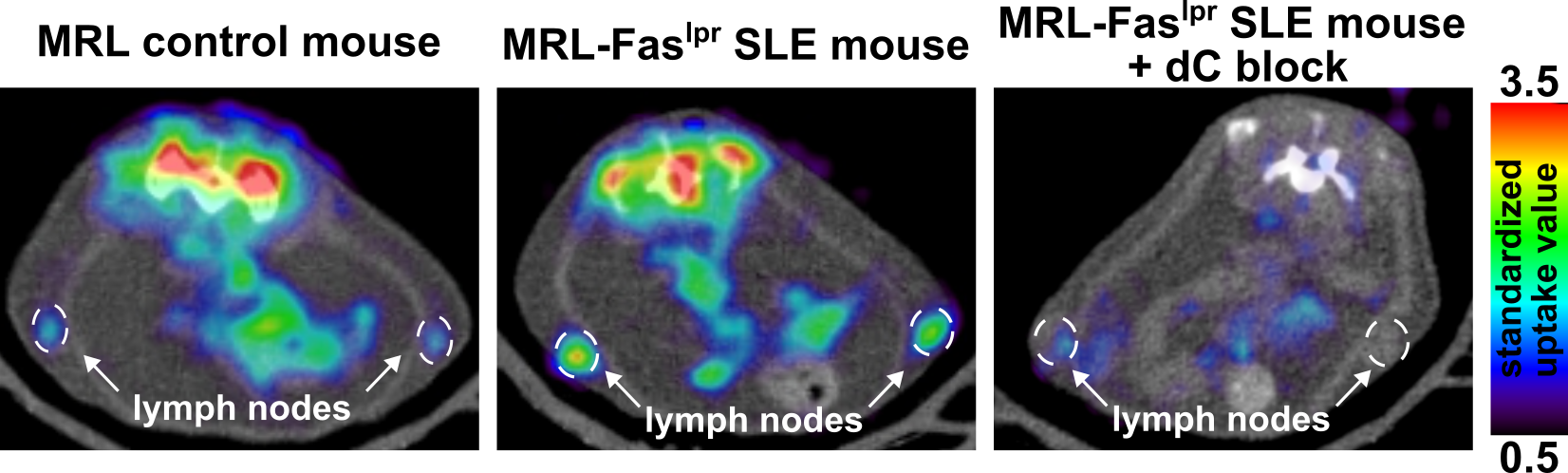 Click to view full size