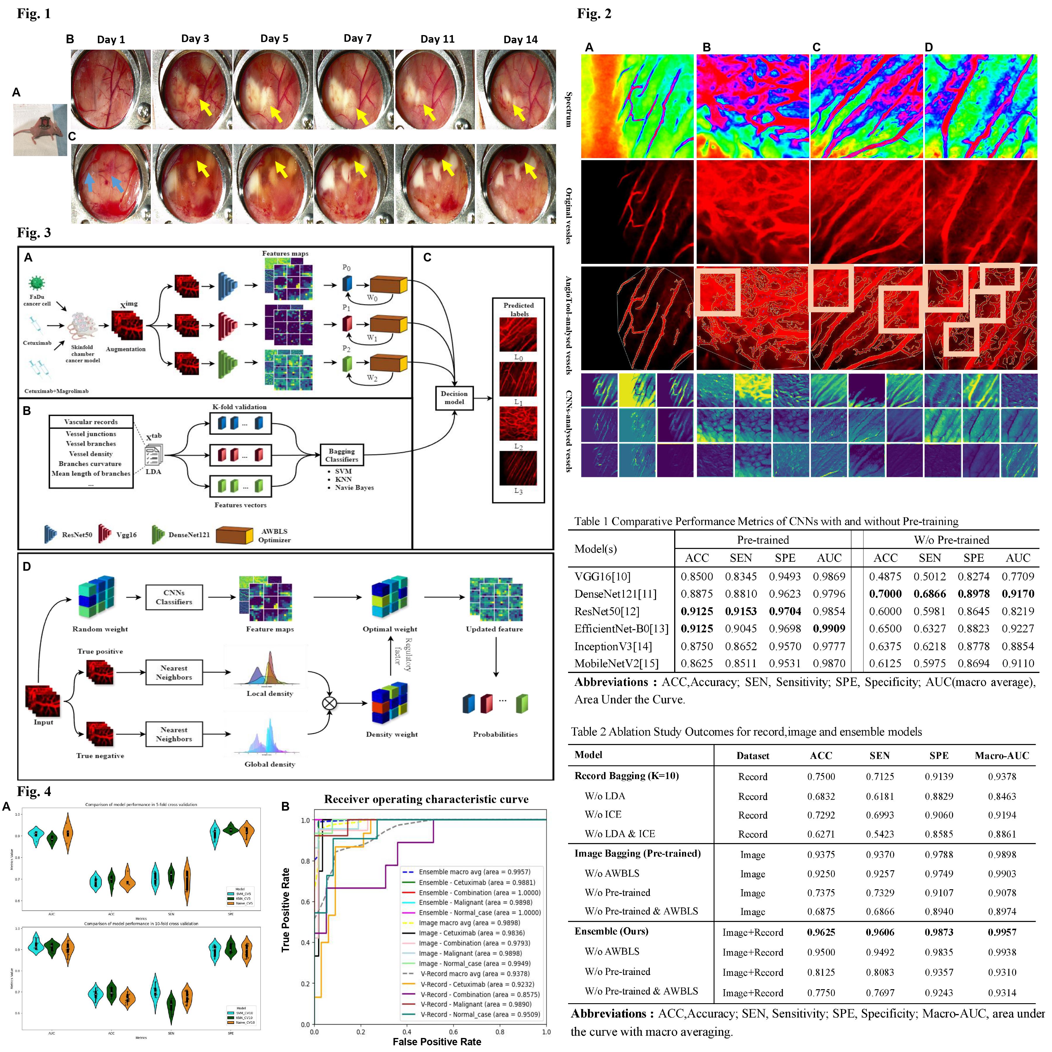 Click to view full size