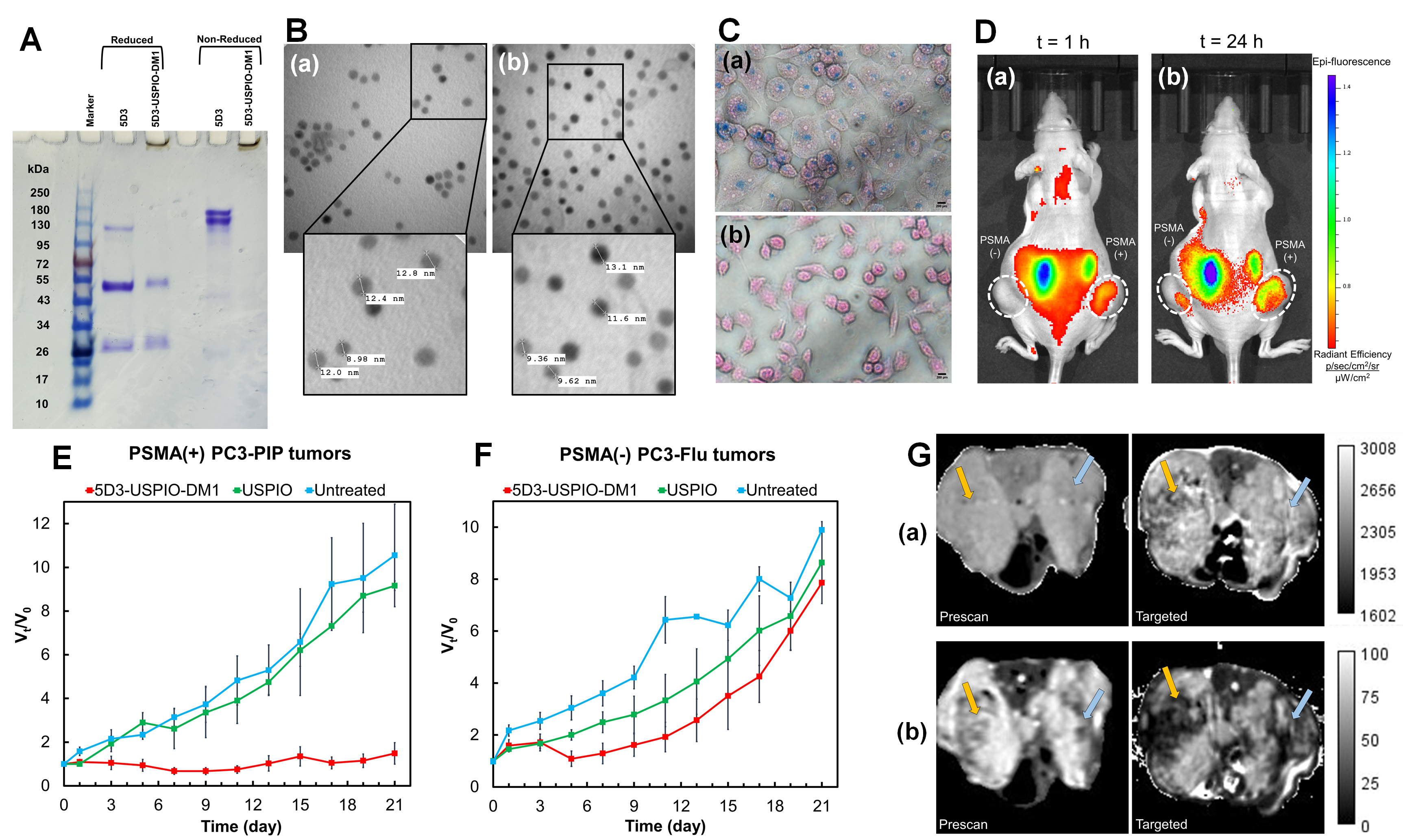 Click to view full size