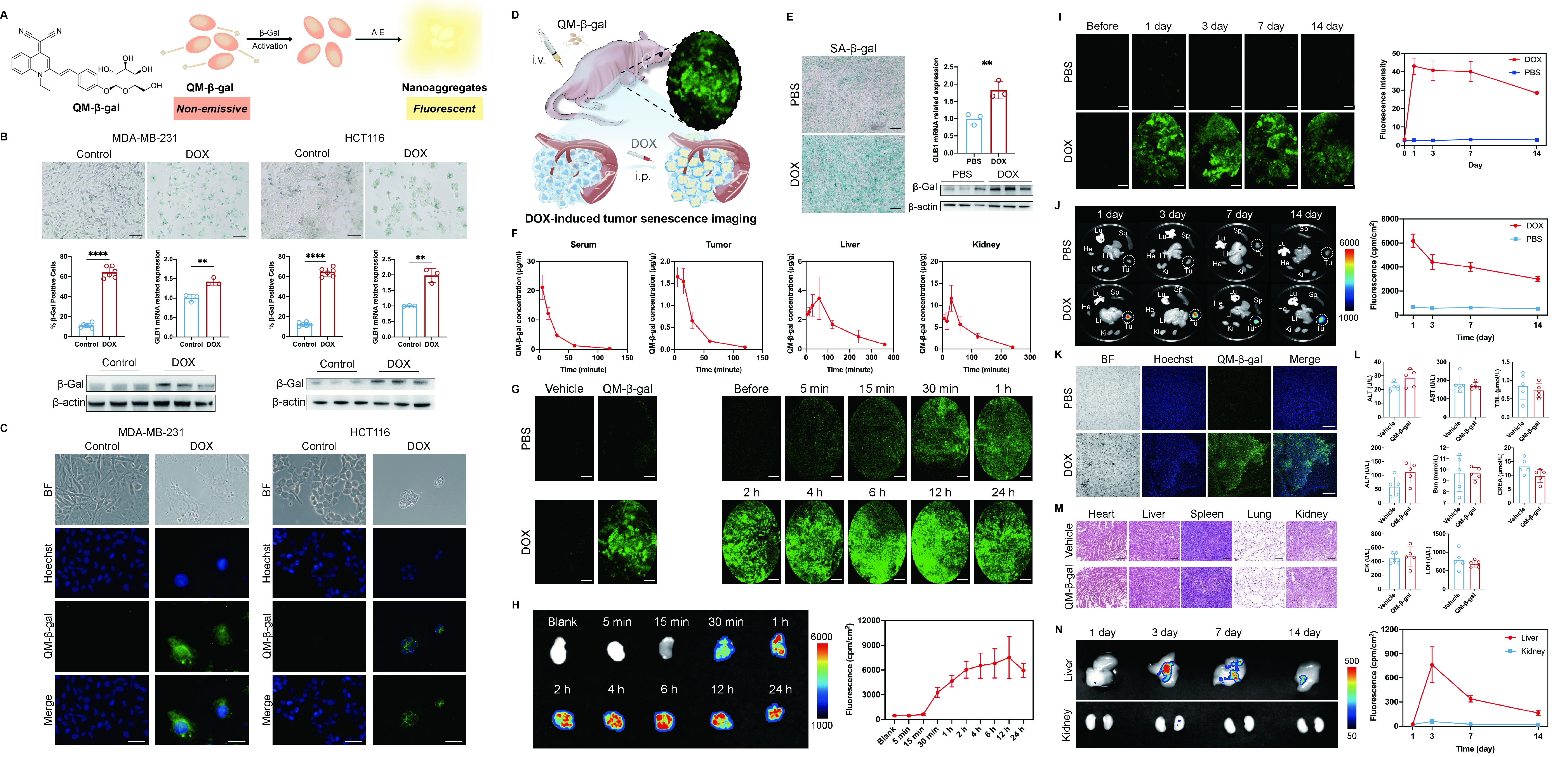 Click to view full size