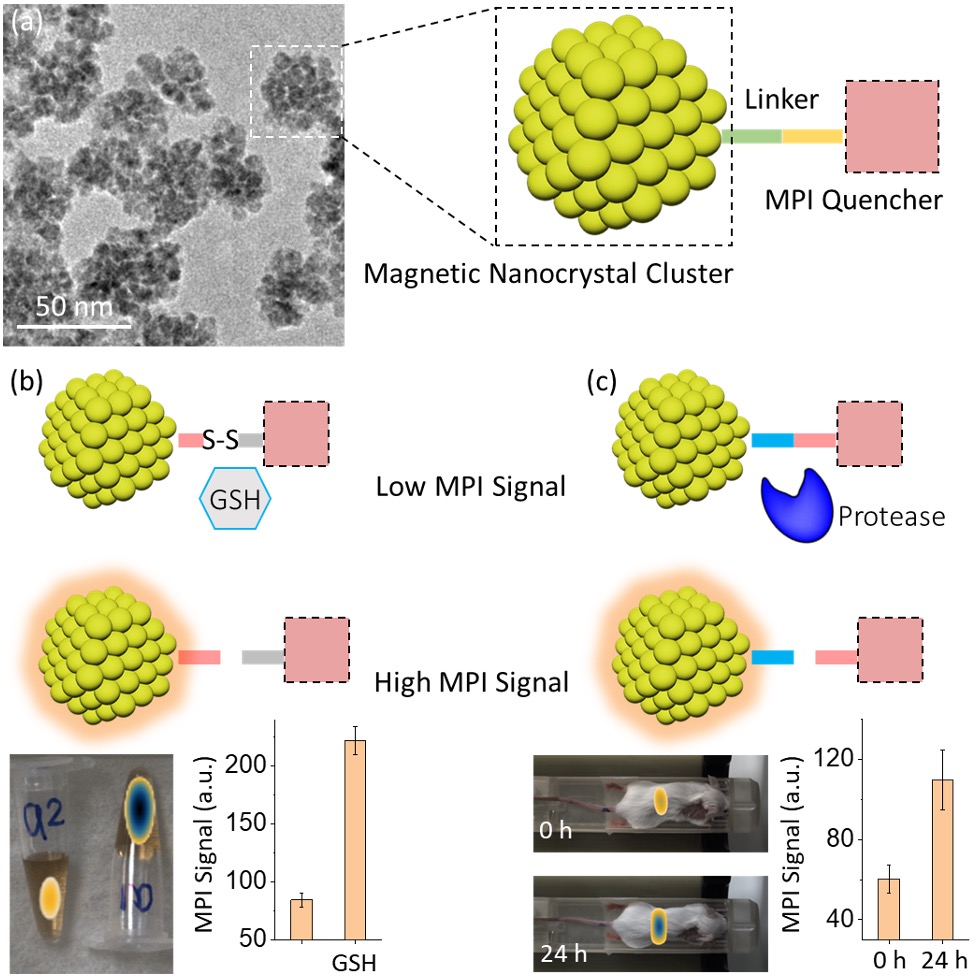 Click to view full size