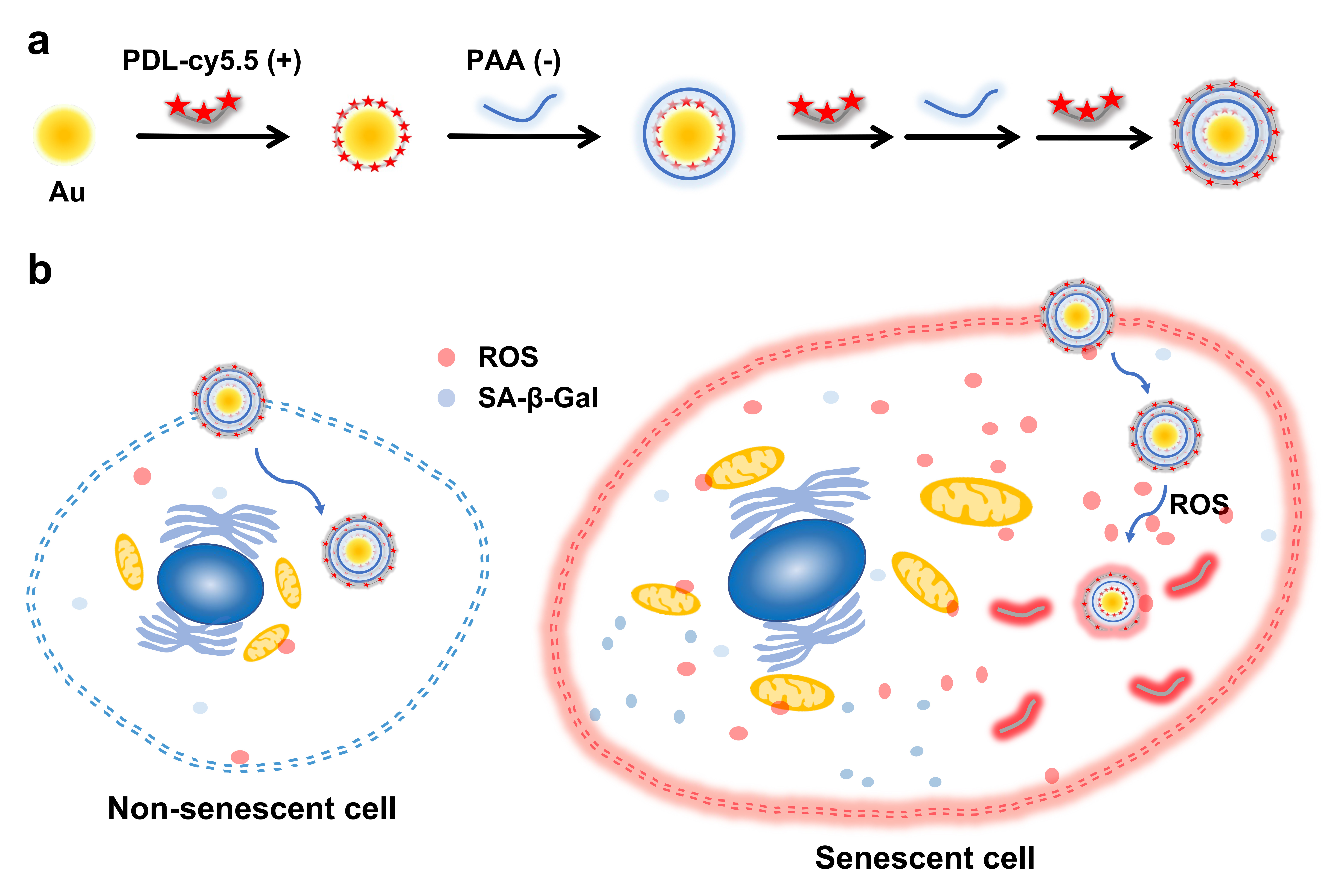 Click to view full size