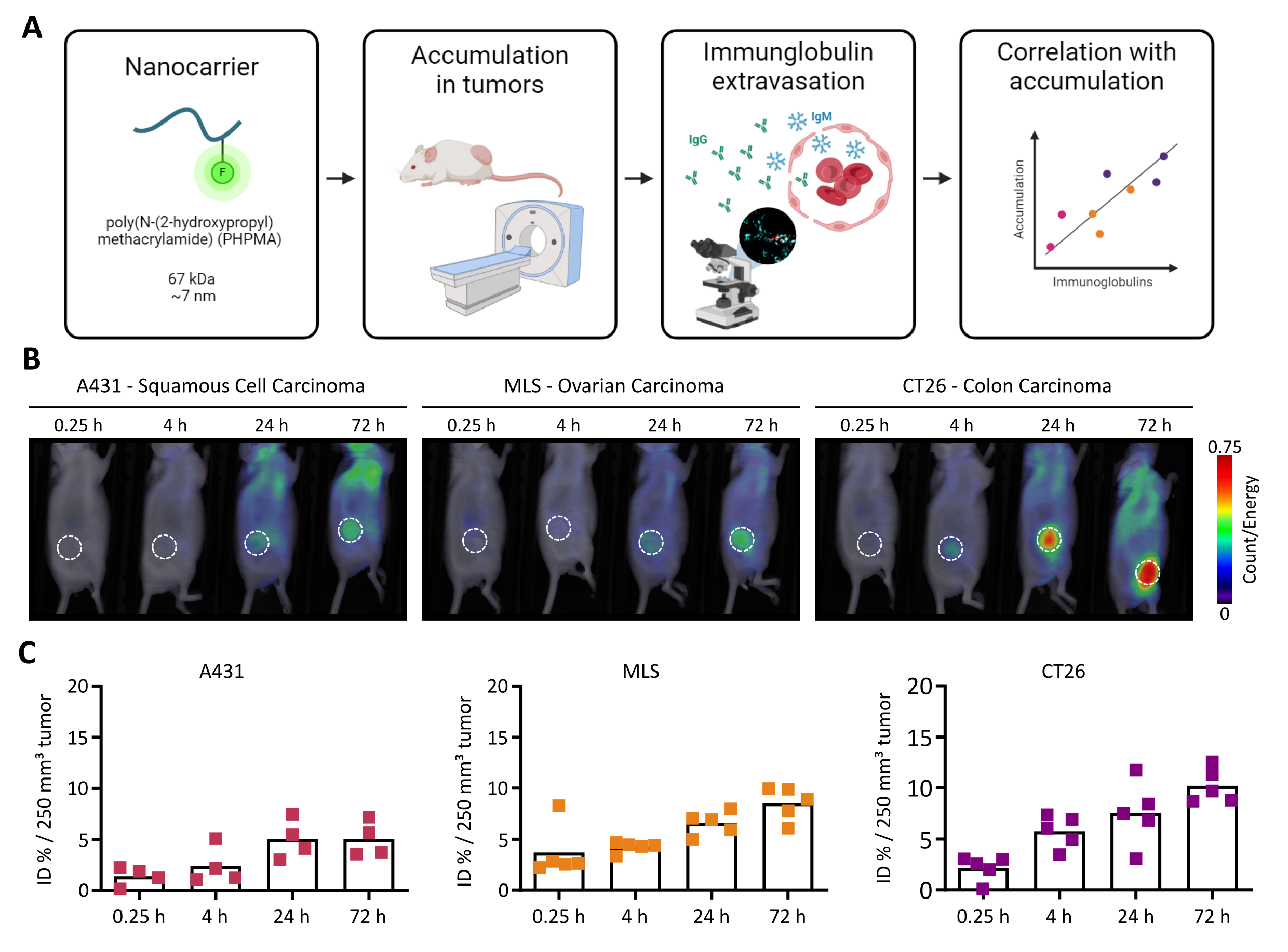 Click to view full size