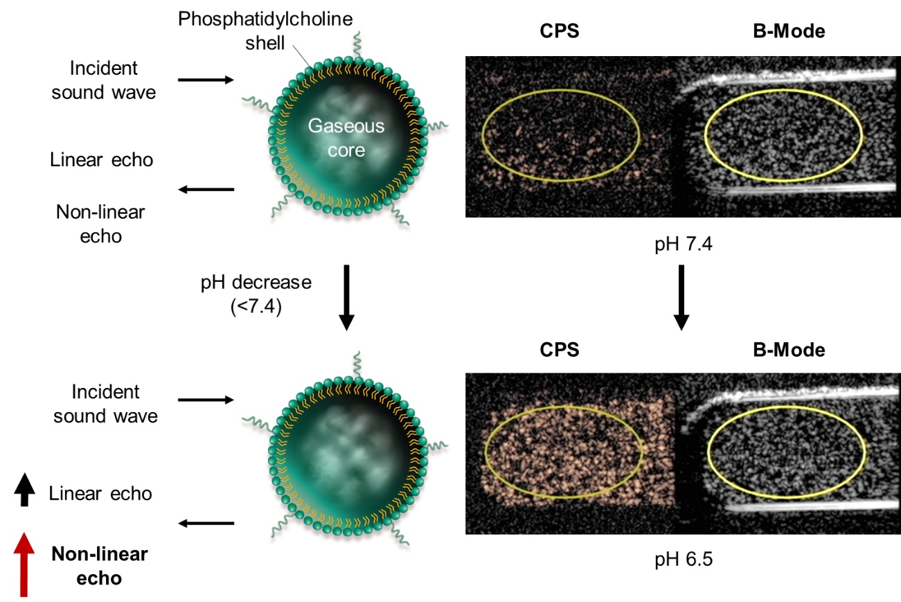 Click to view full size