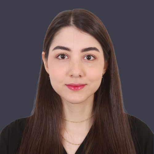 Seyedeh Melika Hashemi
