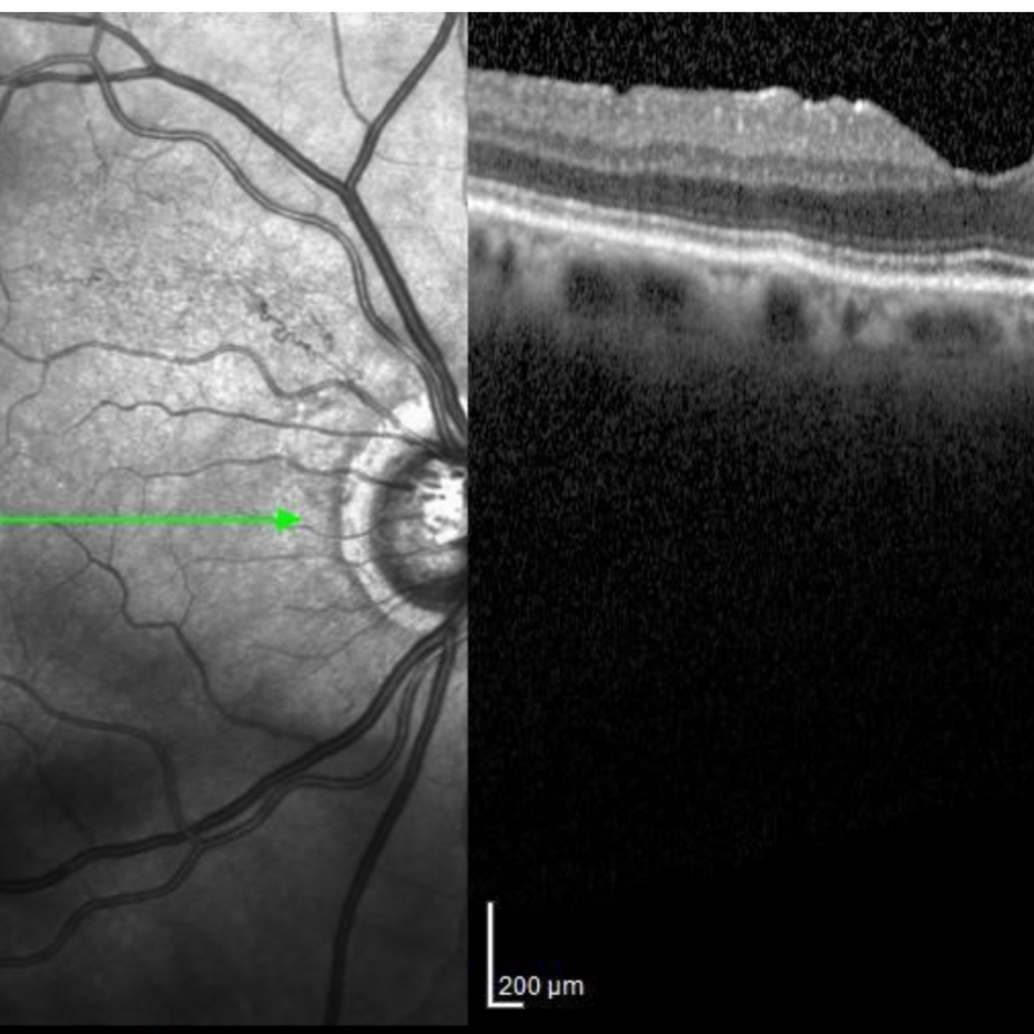 gregory christiansen